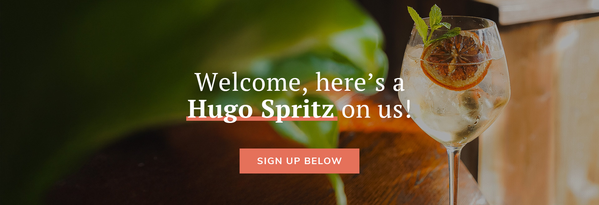 Sign up to the newsletter at De Hems Dutch Cafe Bar
